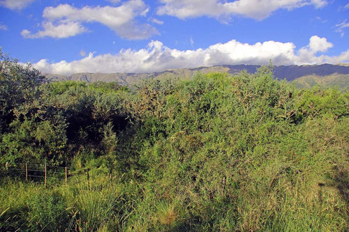 Imagen 1 de 14 de Venta De Terreno En Carpintería Calle Las Mandiocas Mts 1791