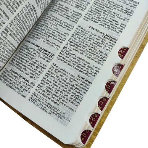 Biblia Sagrada Ra Coroa De Espinhos Edição De Bolso Com Indice Lateral