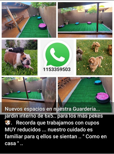 Guarderia Canina Y Pensionado En Morón Zona Oeste...pupycand