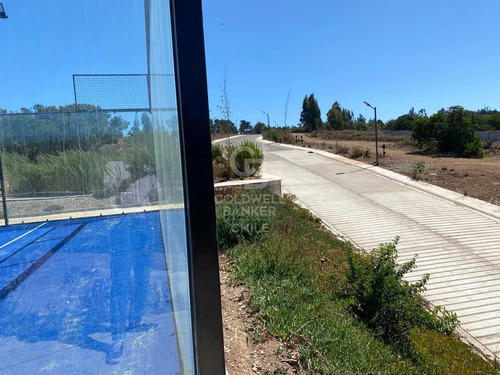 Bosques De Monte Sagrado Sitio Llegar Y Construir