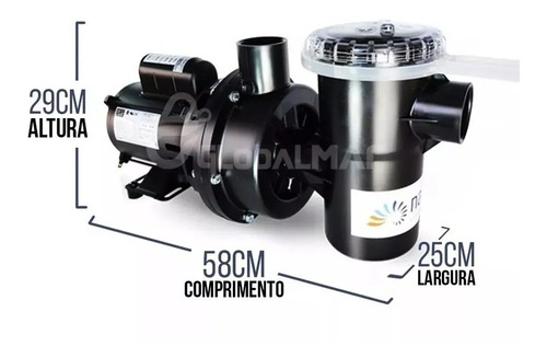 Kit Moto Bomba Nautilus Para Piscina Com Filtro F450 Weg