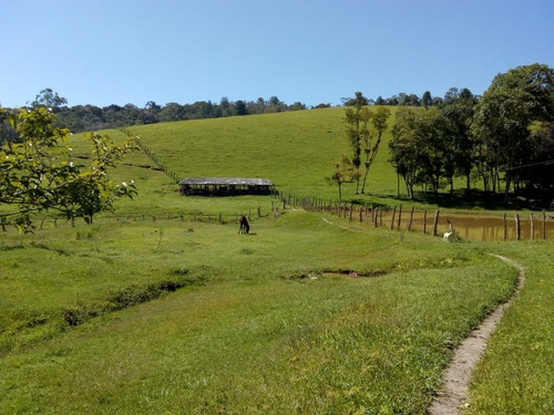 Imagem 1 de 30 de Fazenda Em Juquitiba; Fazenda À Venda Em Juquitiba Sp - 241 - 32982716