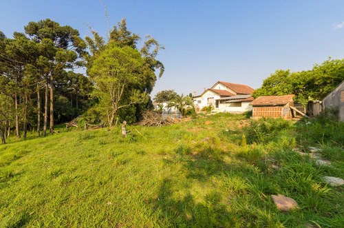 Imagem 12 de 21 de Terreno - Residencial - 930260