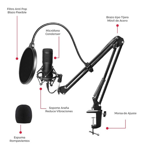 Microfono Diseño Doble Capa Condenser Streaming Skyway M1