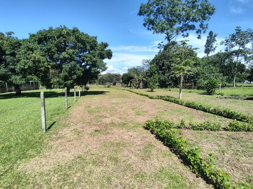 Imagen 5 de 12 de Venta De Lotes En Pérez Zeledón, Calle Foster, Los Chiles