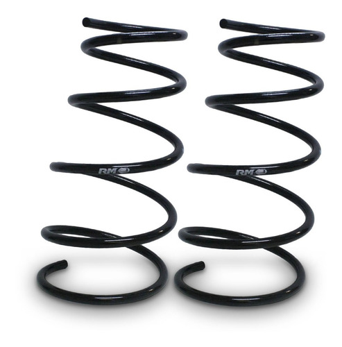 Kit Espirales Del Rm Std Renault Megane Scenic Motor 1.6