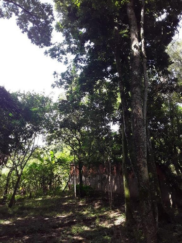 Chácara Com 3 Dormitórios À Venda, 1500 M² Por R$ 320.000,00 - Jardim Planalto - Monte Mor/sp - Ch0522