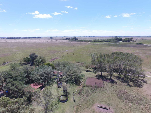 450 Has - Campo Ganadero En Venta A Metros De Ruta !!!