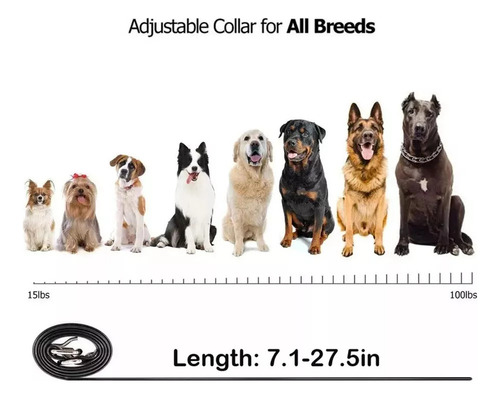 Collar Electrónico Para Perros Con Un Alcance De 800 Metros