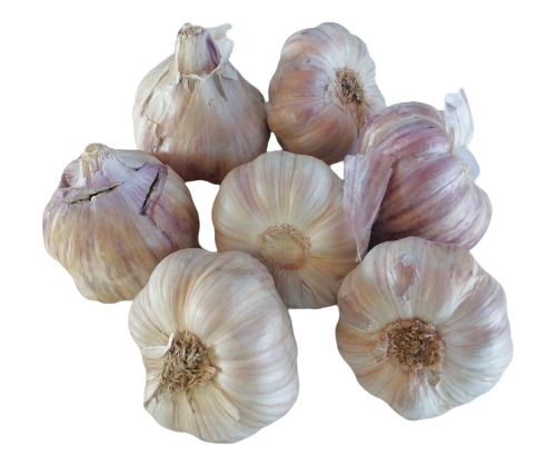 Ajo Entero Grande 1 Kg