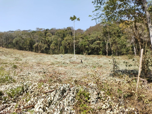 Imagem 4 de 14 de 7a Igaratá Terrenos