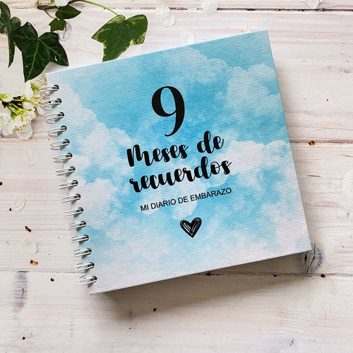 Diario Agenda 9 Meses