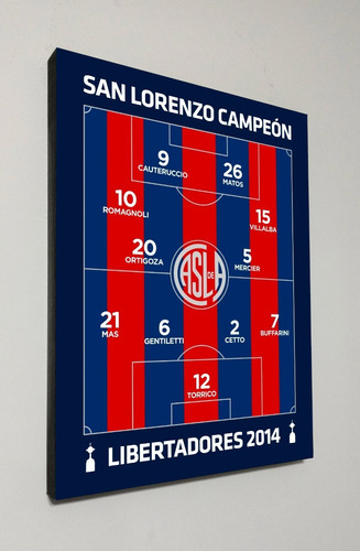 Cuadro Equipo San Lorenzo Campeon Libertadores 2014