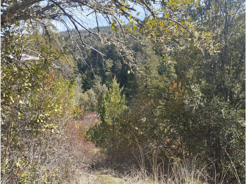 (051) El Bolson, Terreno De 1/2 Ha Frente A Camino Con Costa De Rio Azul