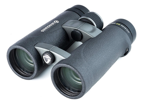 Vanguard Endeavour Ed 10x42 Binocular, Cristal Ed, Negro Ed