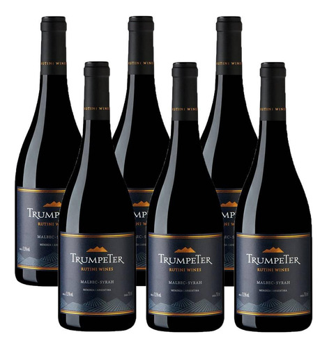Vinho Rutini Syrah 750 ml em um estojo de papelão