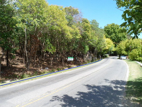 Imagen 14 de 17 de Hermosa Hectárea En Venta En Los Hornillos, Traslasierra Sobre Ruta, Escritura Y Servicios