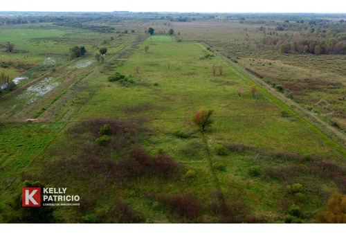 Venta De Fracción Con Costa Sobre Rio Paranacito