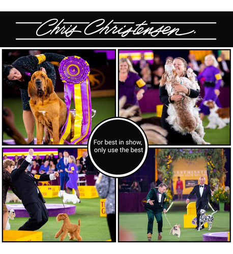 Brocha Para Perros Chris Christensen Original Series, Alfile