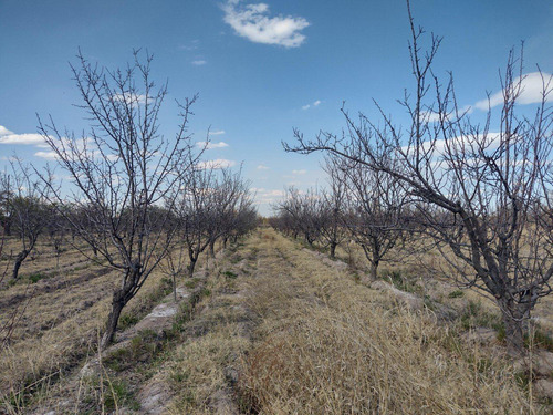 Imagen 4 de 13 de Vendo Finca 5.5 Hectareas A Tranquera Cerrada