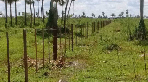Imagen 10 de 12 de Campo Ganadero 944 Hectareas Manuel Belgrano Formosa