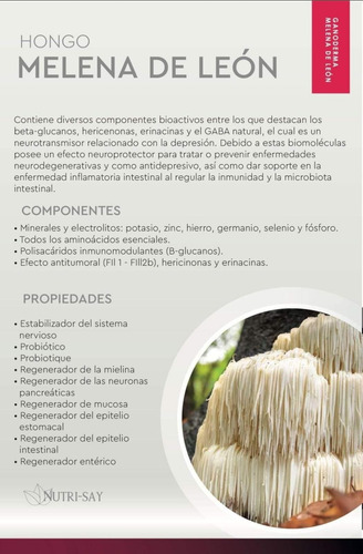 Melena De León Y Ganoderma, Sisay