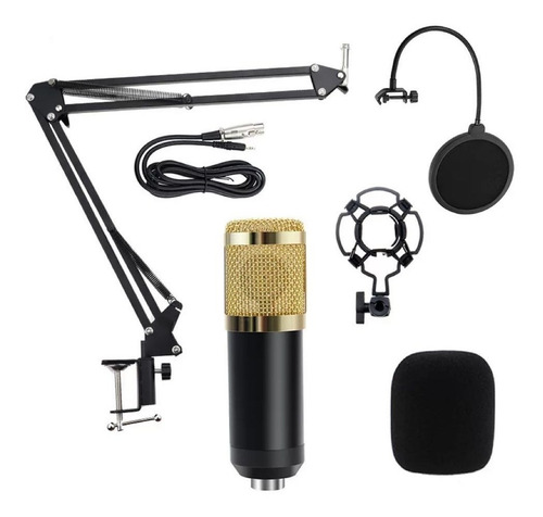 Imagen 1 de 3 de Micrófono Nw-800 Condensador Cardioide Negro/dorado