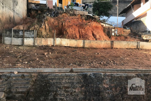 Imagem 1 de 3 de Lote À Venda No Ipiranga - Código 248390 - 248390