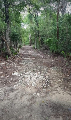 Venta Terreno Con Cenote En Tulum