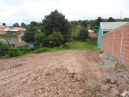 Terreno Para Venda Em Colombo, Vila Florestal Grajau - 00112_2-400591