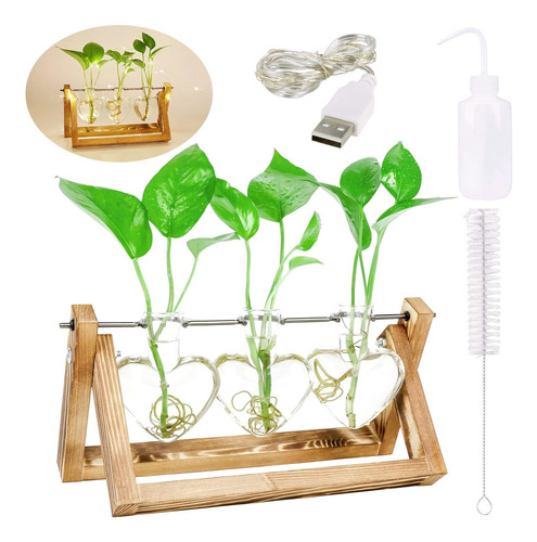 Plant Terrarium With Wooden Stand & Led Lightsplanter Glass