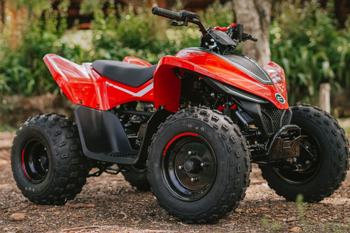 Quadriciclo Infantil Cforce 110lv