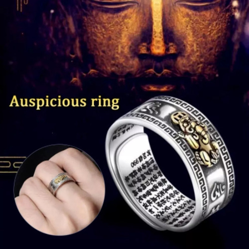El Anillo Pixiu Feng Shui De 16 Piezas Atrae La Suerte, El É