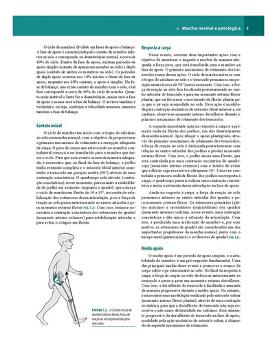 Ortopedia e Traumatologia: princípios e práticas, de Hebert, Sizínio. Editorial Artmed, capa mole em português, 2016