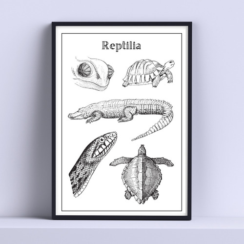 Cuadro Reptiles Dibujo Lineal 30x40cm Listo P Colgar
