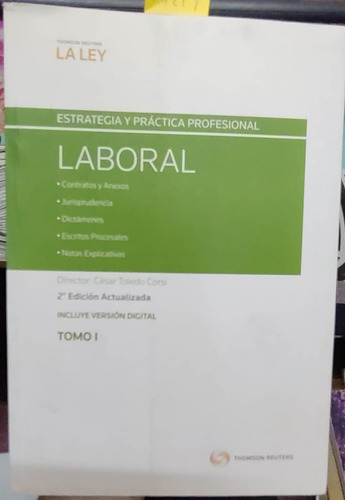 Estrategia Y Práctica Profesional Laboral. Tomo I