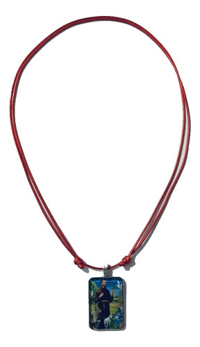 12 Collar Rojo Proteccion San Francisco De Asis (cr48)