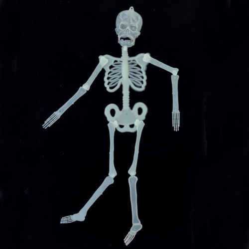 Luminoso Colgante Decoración Esqueleto Humano Halloween Crán