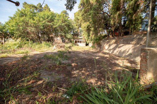 Imagem 14 de 22 de Área À Venda Em Jardim Do Vale - Ar006221