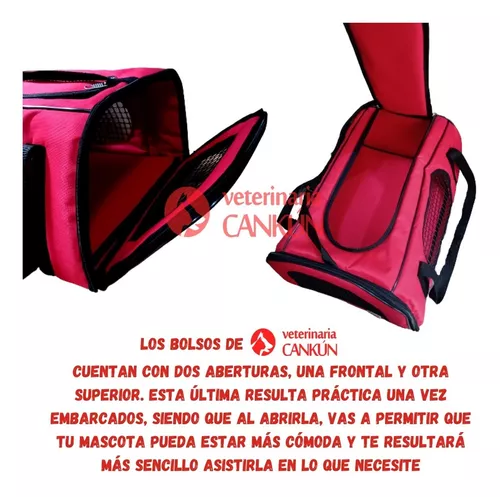 Bolso Rígido Perro Gato Apto Cabina 45x35x25 Iata