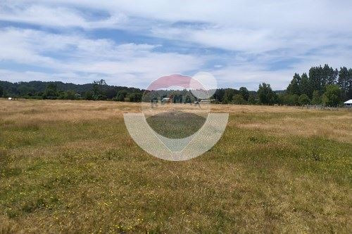 Terreno De Ensueño En Los Lagos: ¡invierte Hoy!