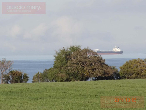 Chacra Con Costa Al Rio De La Plata - 5 Hás.