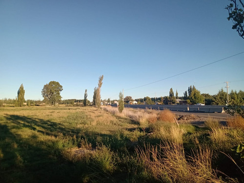 Imagen 3 de 4 de Venta Terreno Con Frente De Ruta 22 En Cipolletti