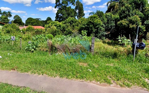 Imagem 8 de 8 de Excelente Terreno Industrial À Venda No Bairro Guatupê, Em São José Dos Pinhais, Excelente Para Construções E Barracões. - Te00081 - 69250724