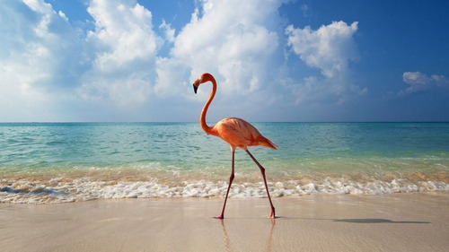Aldea Holbox, Primer Desarrollo Residencial Cercano A Holbox, Venta Deterrenos