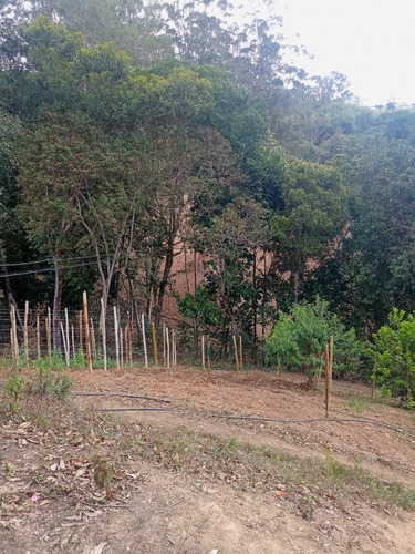 Imagen 11 de 13 de Best House Vende Increíble Terreno En Loma De Urquía En Los Altos Mirandinos