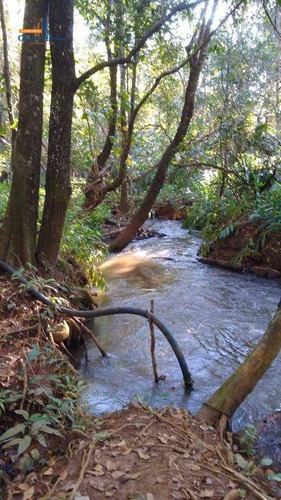 Chácara Com 3 Dormitórios À Venda, 15000 M² Por R$ 680.000,00 - Rural - Goianápolis/go - Ch0103