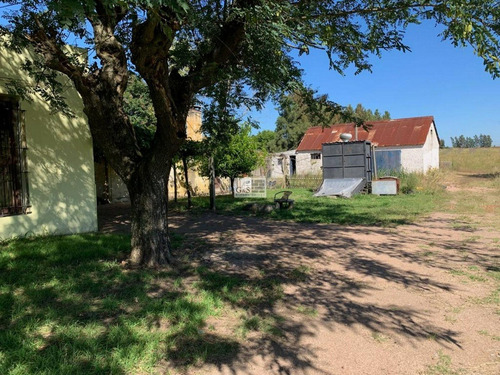 Imagen 9 de 11 de Venta De Chacra 5 Ha En Montevideo Rural