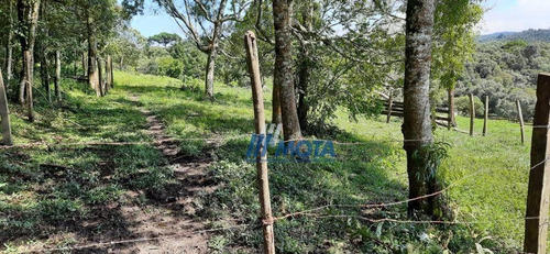 Chácara A Venda Bocaiuva Do Sul Com 2 Alqueires, Casa Mista , Galinheiro, Toda Formada Em Pastagem, Com Nascente, Cercada, Com Linda Vista! - Ch0208