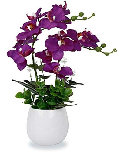 Livilan Orquídea Falsa Flor De Orquídea Púrpura Phalaenopsis